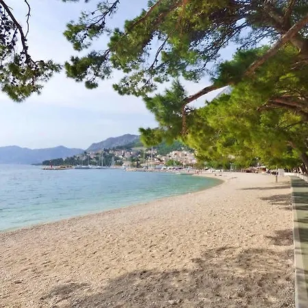 Ruza * 바스카보다