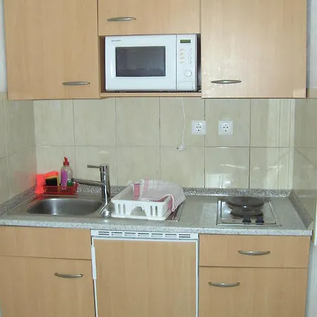 Apartment Ruza *